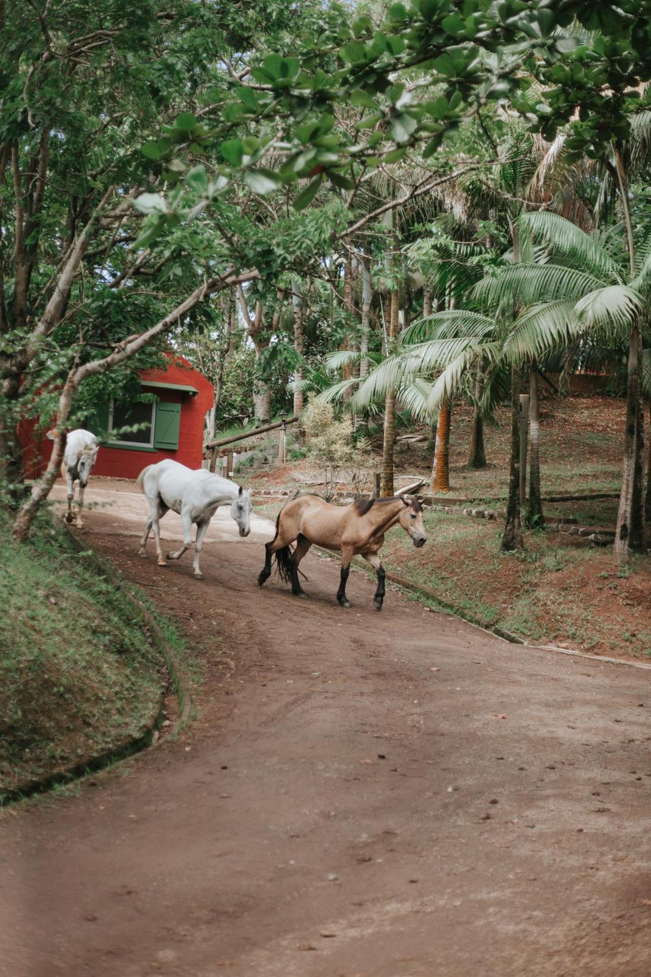 La Vieille Cheminee, Tropical Farm & Eco-Lodges Chamarel Exteriör bild